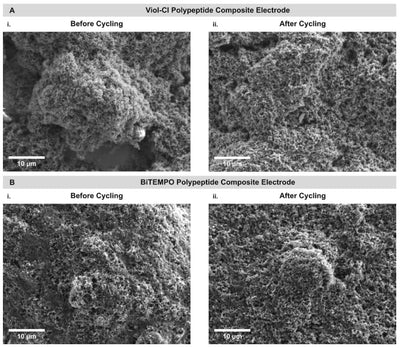 [NATURE] Polypeptide organic radical batteries