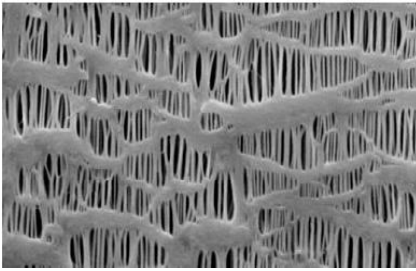 CELGARD 2500 MICROPOROUS MONOLAYER MEMBRANE  (PP), Separator membrane